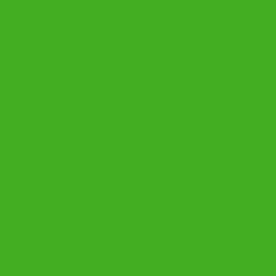 FowlerFocus